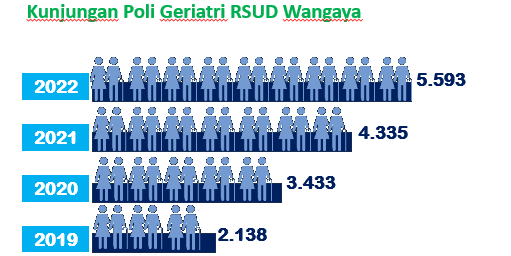 Figure 1 Data Kunjungan Poli Geriatri RSUD Wangaya, sumber: Paparan Konsultan penyusun SP RSUD Wangaya